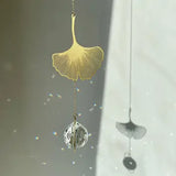 Gingko lysfanger