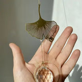 Gingko lysfanger