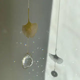 Gingko lysfanger